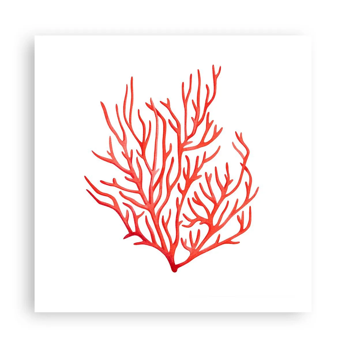 Poster - Coral filigranat - 60x60 cm