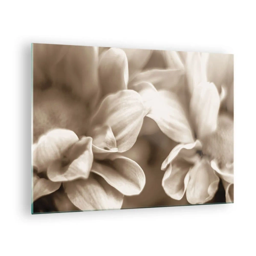 Tablou pe sticlă - Fotografie macro a petalelor de flori luminoase în sepia - 70x50cm - Blânde ca un zâmbet - Decorațiune modernă pentru perete pentru living și dormitor ARTTOR