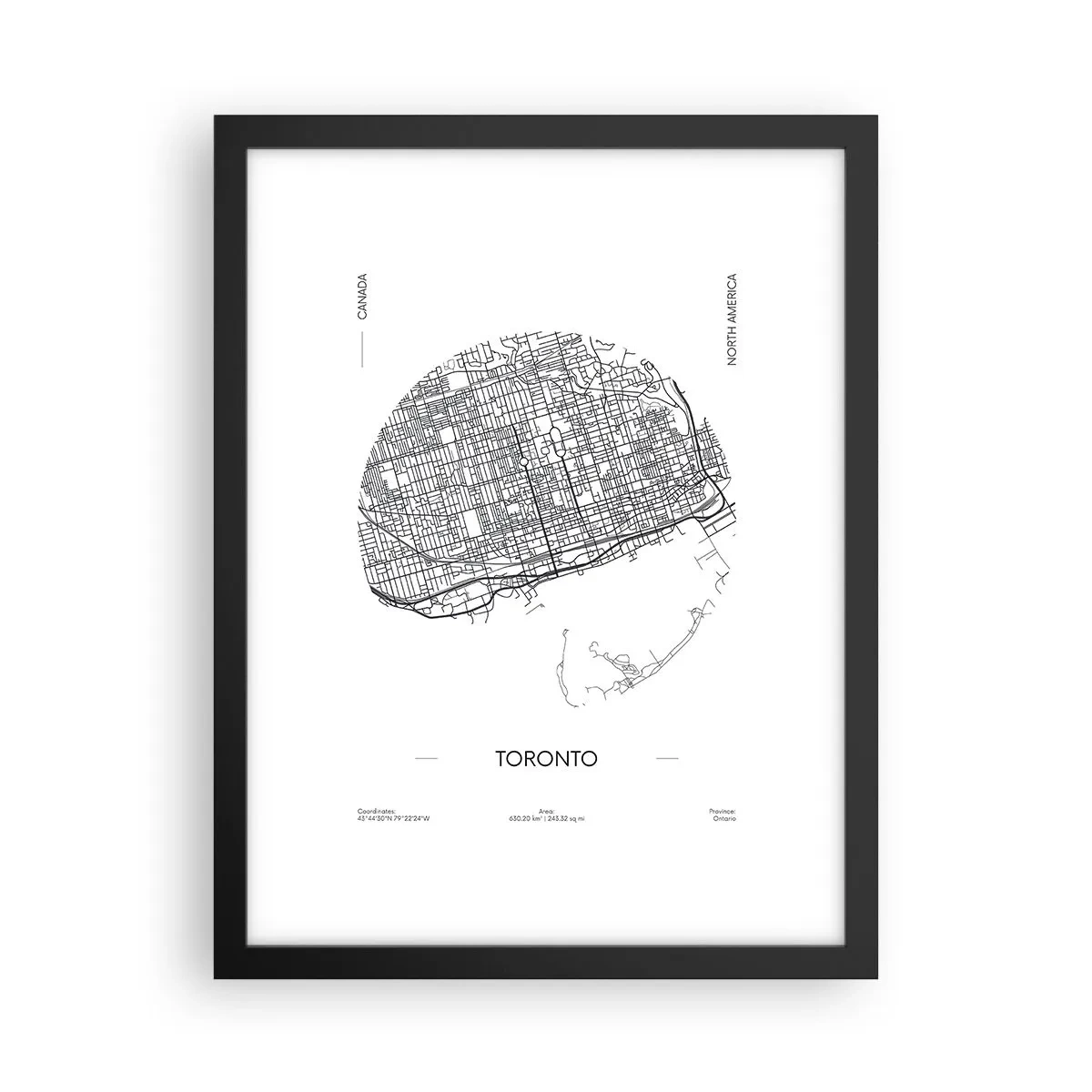Poster în ramă neagră - Anatomia Toronto - 30x40 cm