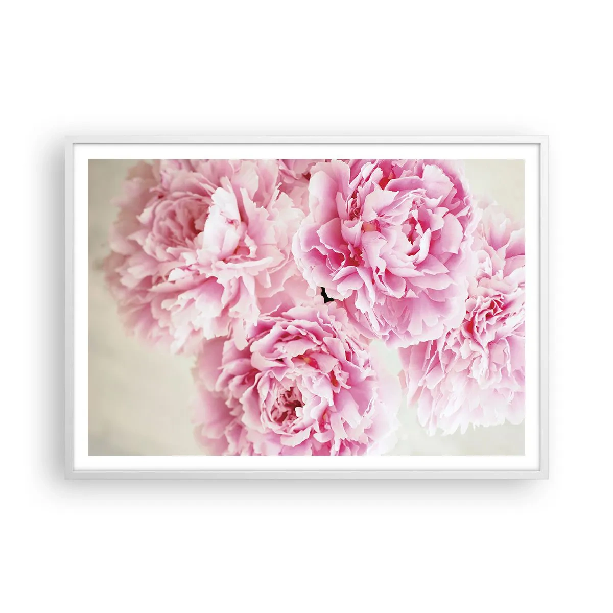 Poster în ramă albă - În luxul roz - 100x70 cm