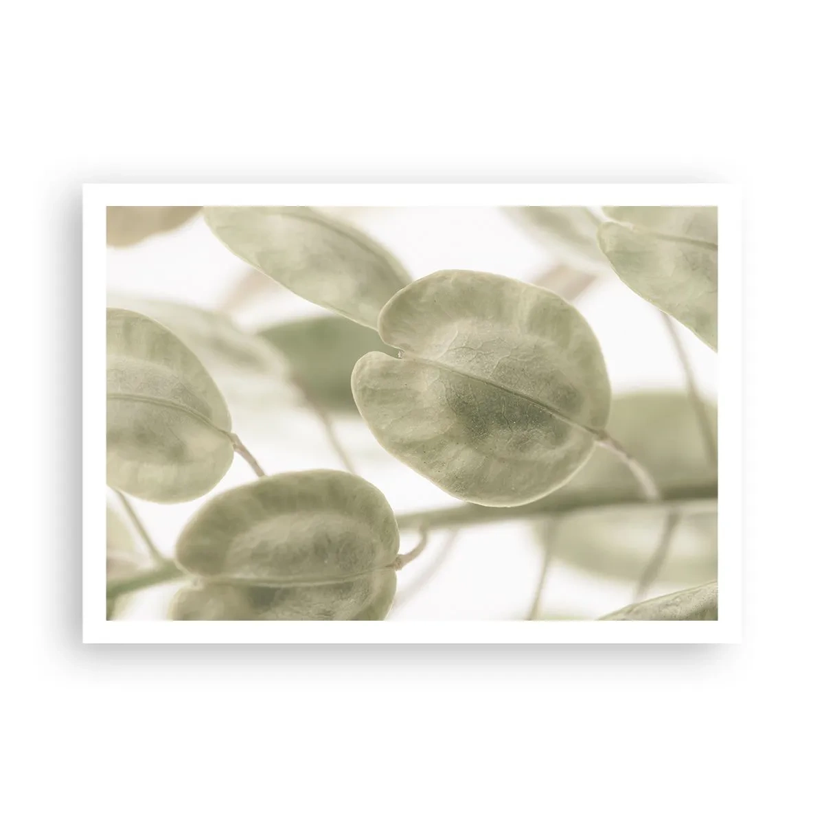 Poster - La început au fost frunzele... - 100x70 cm