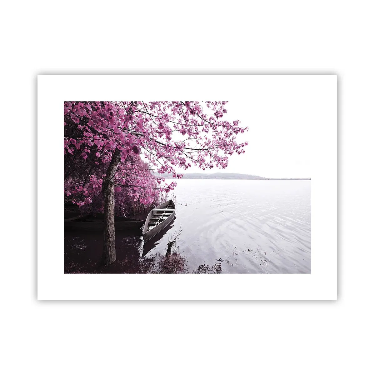Poster - În tăcerea roz - 40x30 cm