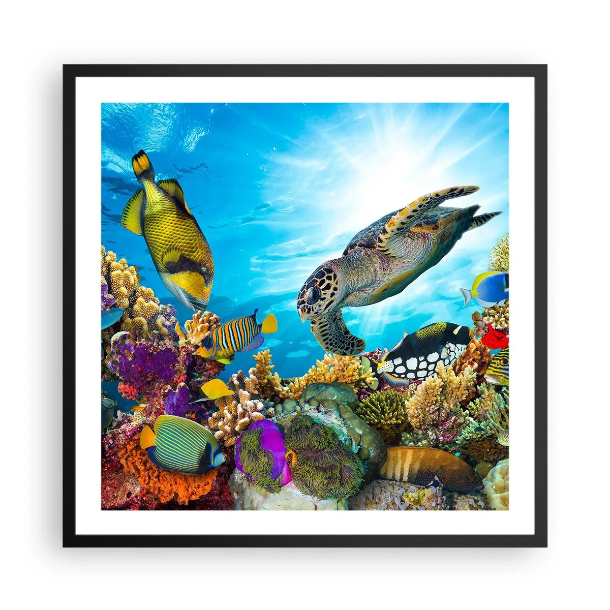 Poster în ramă neagră - Promenada de corali - 60x60 cm