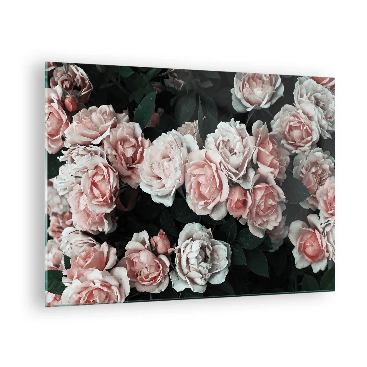 Tablou pe sticlă - Prim-plan al unui buchet de trandafiri roz pe un fundal închis - 70x50cm - Ansamble de trandafiri - Decorațiune modernă pentru perete pentru living și dormitor ARTTOR