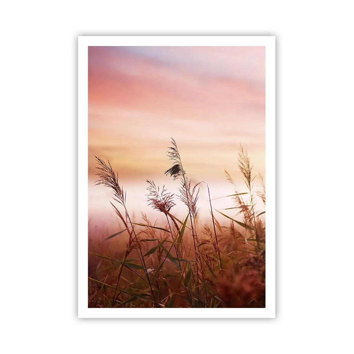 Poster - Zmeuri, suflante, vânt - 70x100 cm