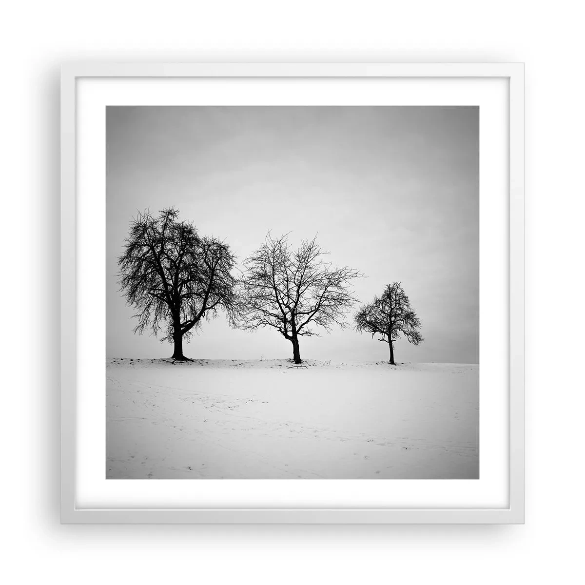 Poster în ramă albă - La ce visează? - 50x50 cm