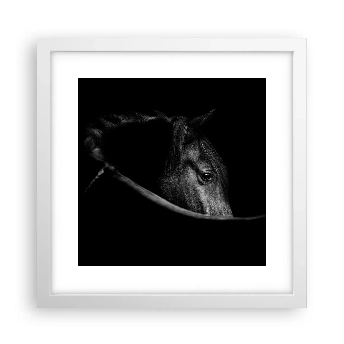 Poster în ramă albă - Prințul negru - 30x30 cm