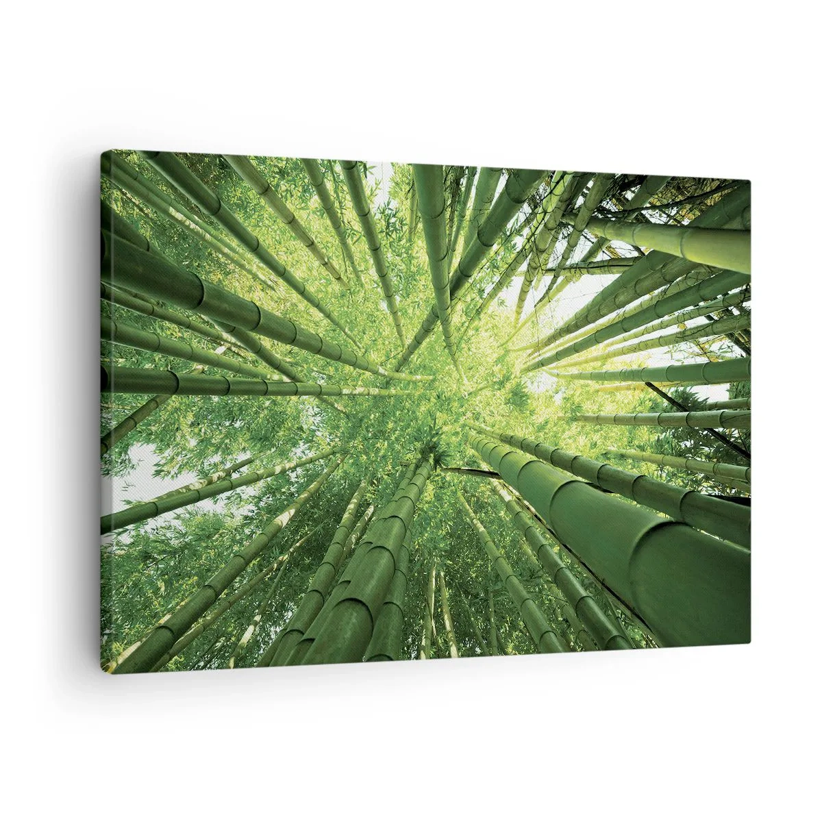 Tablou pe pânză Canvas - Vedere în sus printr-o dumbravă verde de bambus - 70x50cm - Într-o pădure de bambus - Decorațiune modernă pentru perete pentru living și dormitor ARTTOR