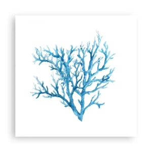 Poster - Filigranul marin - 50x50 cm