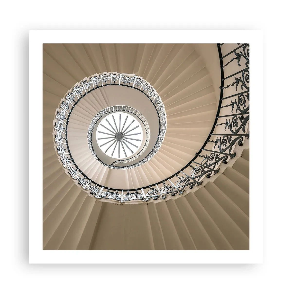 Poster - În interiorul cochiliei - 60x60 cm