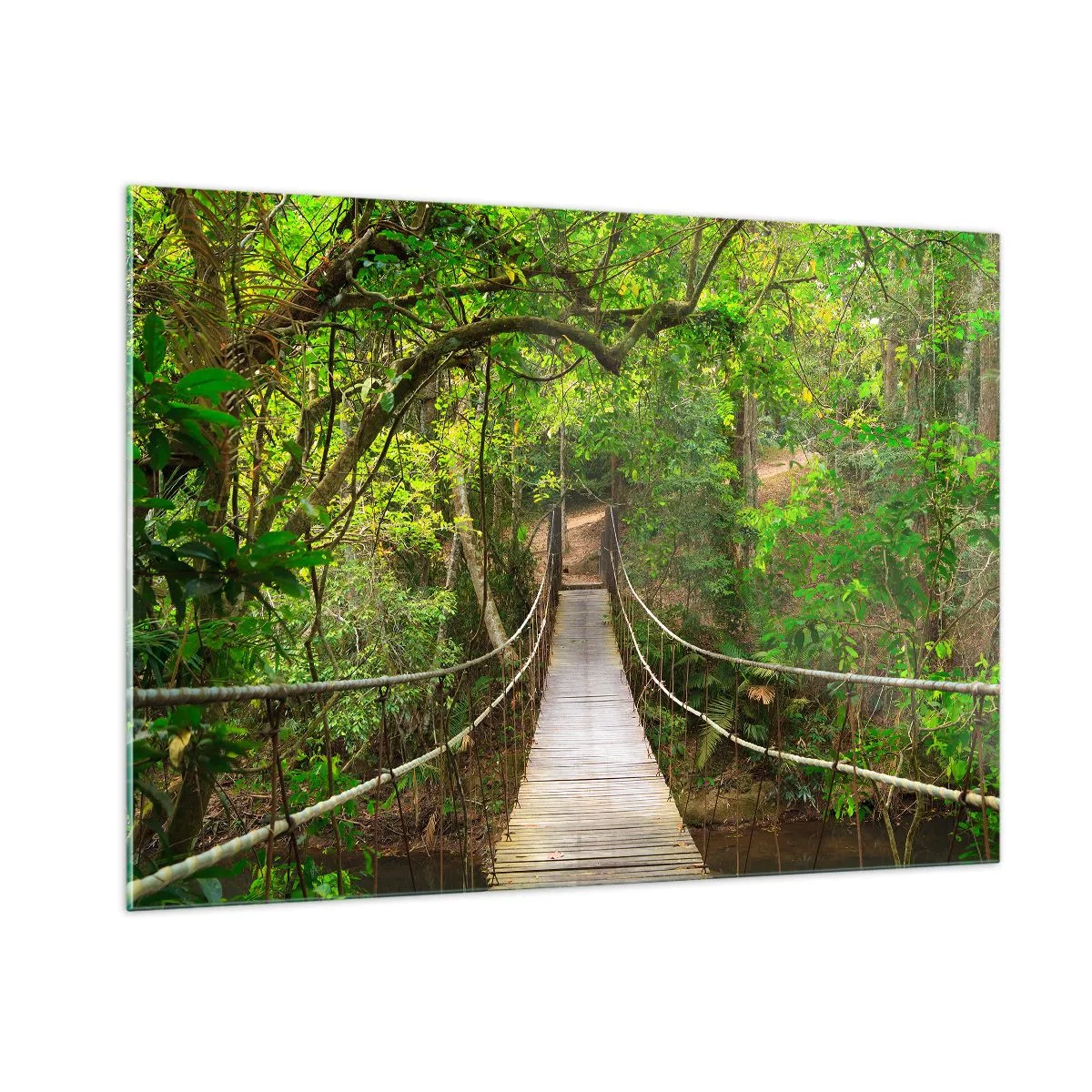 Tablou pe sticlă - Pentru că în grădină crește o liană - 100x70 cm