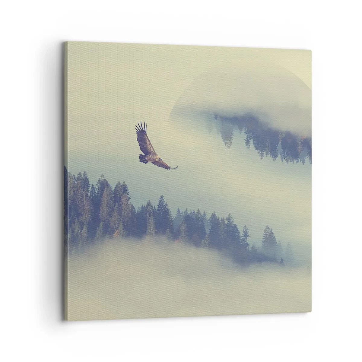 Tablou pe pânză - Am văzut umbra unui vultur - 60x60 cm