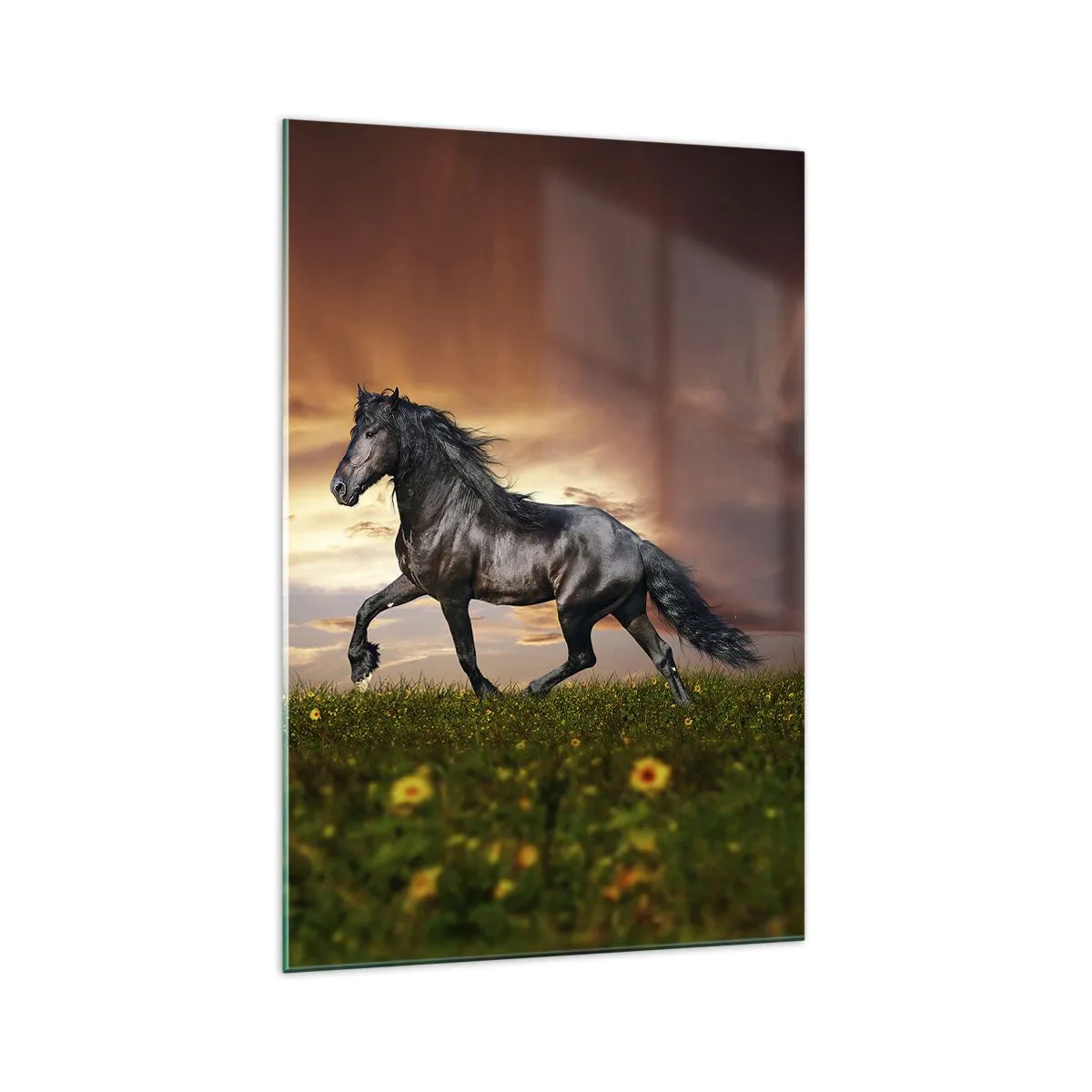 Tablou pe sticlă - Prințul negru - 70x100 cm