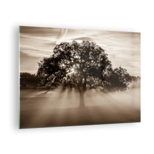 Tablou pe sticlă - Un copac în ceața dimineții, cu raze de soare strălucind printre ramuri - 70x50cm - Un copac de vești bune - Decorațiune modernă pentru perete pentru living și dormitor ARTTOR