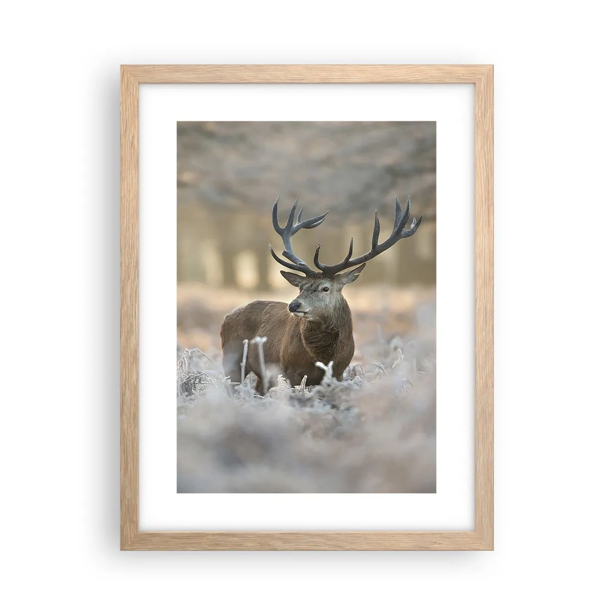 Poster în ramă de stejar deschis - O dimineață răcoroasă - 30x40 cm