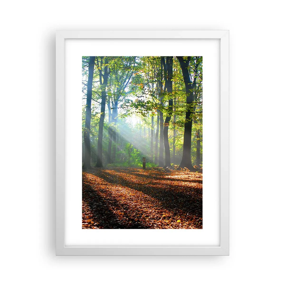 Poster în ramă albă - Străluciri și umbre - 30x40 cm