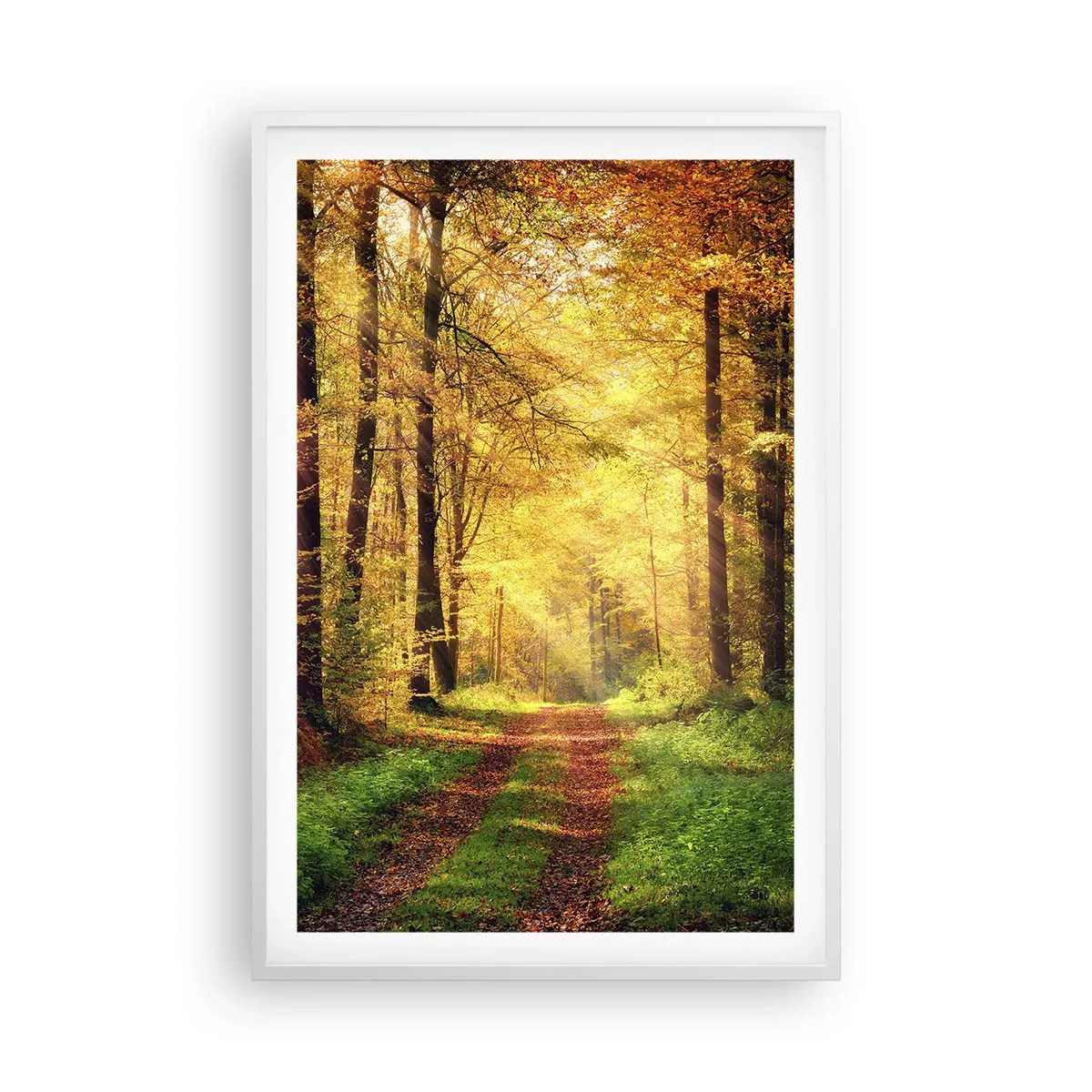 Poster în ramă albă - Tăcere de aur de pădure - 61x91 cm