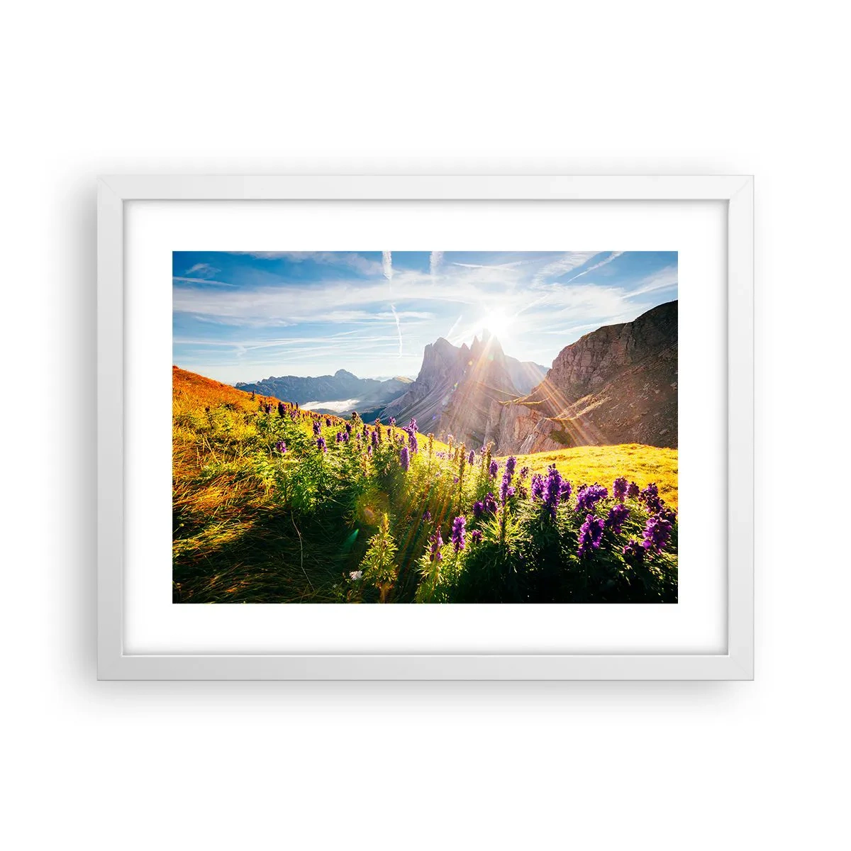 Poster în ramă albă - Viața secretă a ierburilor - 40x30 cm