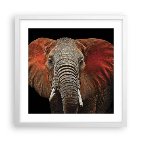 Poster în ramă albă - Sunt sălbatic, și tu? - 40x40 cm