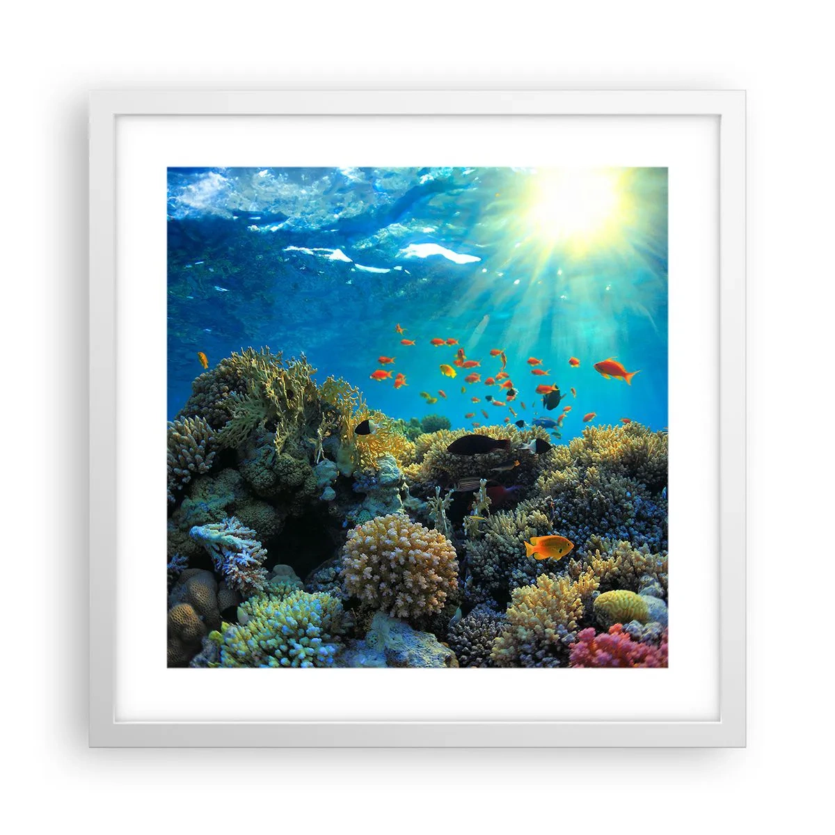 Poster în ramă albă - Comori subacvatice - 40x40 cm