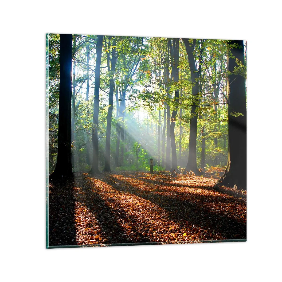 Tablou pe sticlă - Străluciri și umbre - 30x30 cm