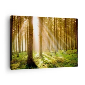 Tablou pe pânză Canvas - Pădure de conifere cu raze de soare care strălucesc printre copaci - 70x50cm - Spiridușii sunt pe cale să apară - Decorațiune modernă pentru perete pentru living și dormitor ARTTOR