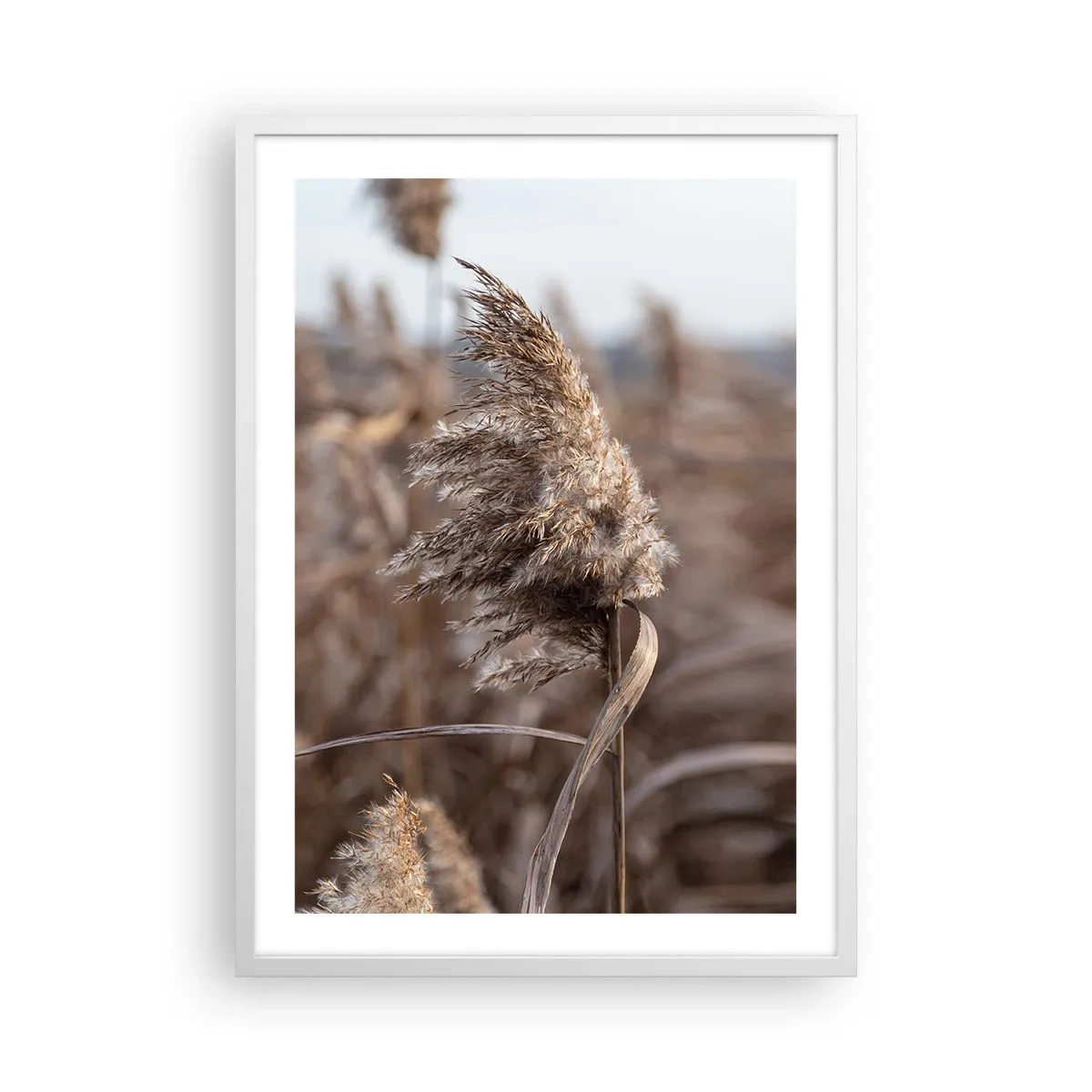 Poster în ramă albă - E timpul să zbori cu vântul - 50x70 cm