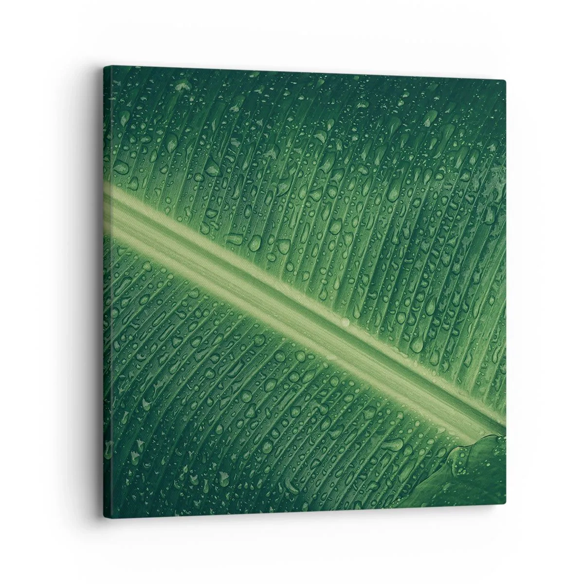 Tablou pe pânză - Structura verdelui - 30x30 cm