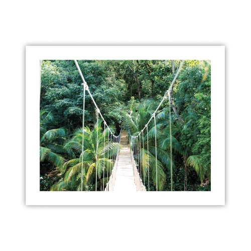 Poster - Welcome to the jungle! - 50x40 cm