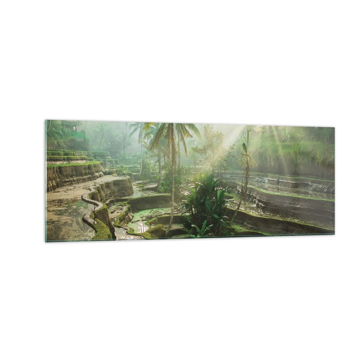 Tablou pe sticlă - Crescând la soare - 140x50 cm