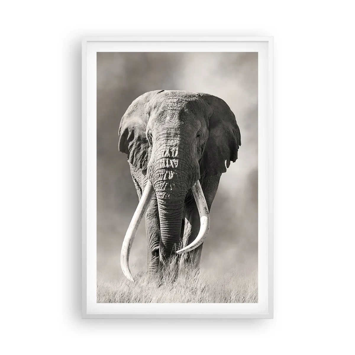 Poster în ramă albă - Patriarh african - 61x91 cm