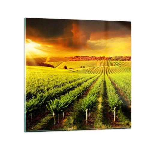 Tablou pe sticlă - Sub soarele australian - 60x60 cm