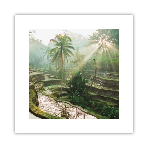 Poster - Crescând la soare - 30x30 cm