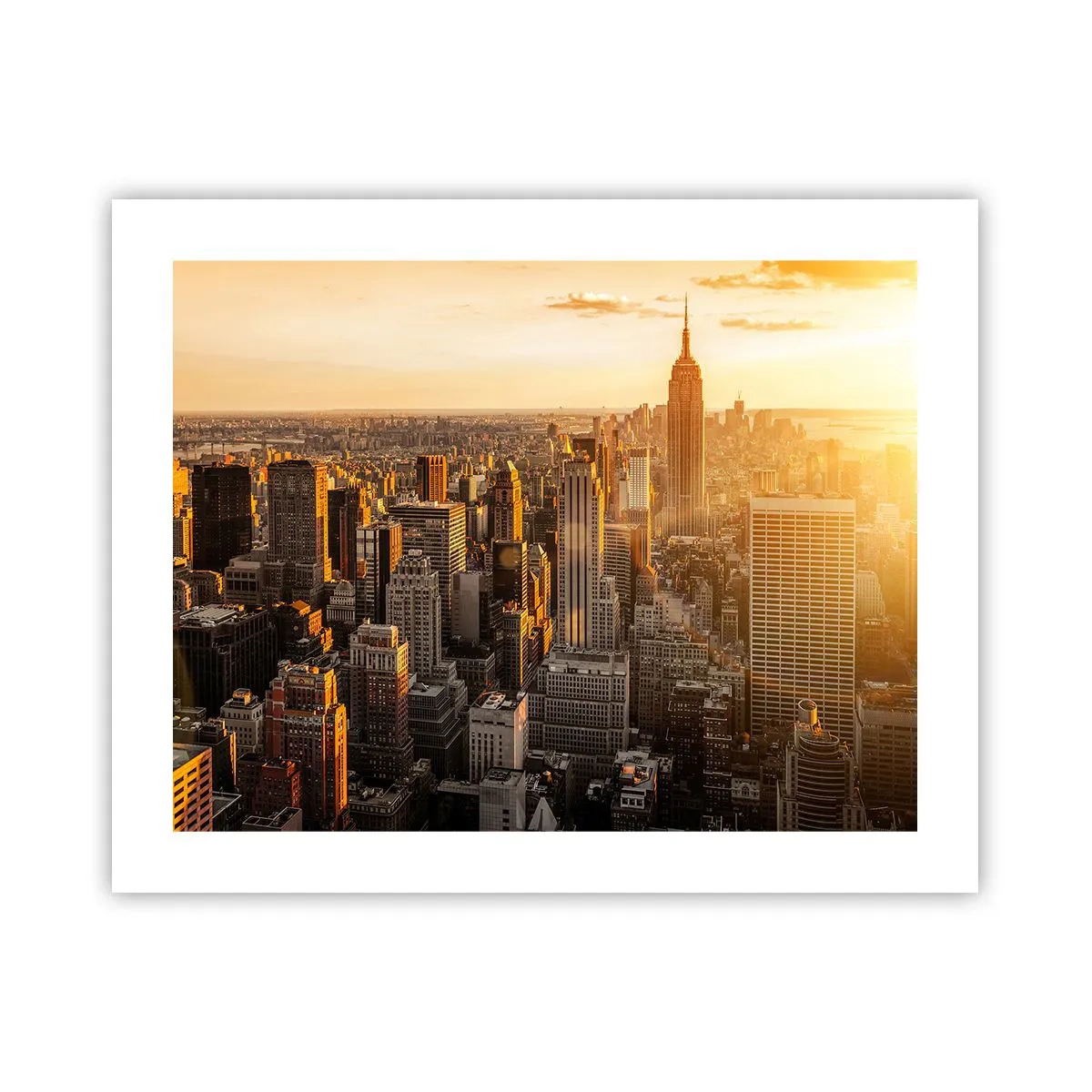 Poster - Crescând la soare - 50x40 cm