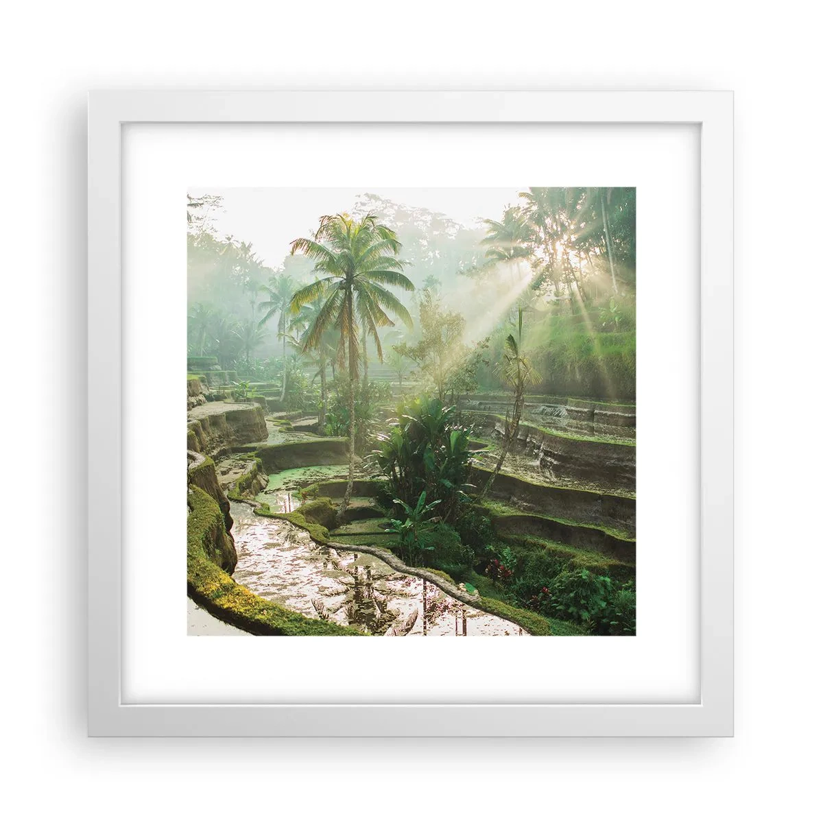 Poster în ramă albă - Crescând la soare - 30x30 cm