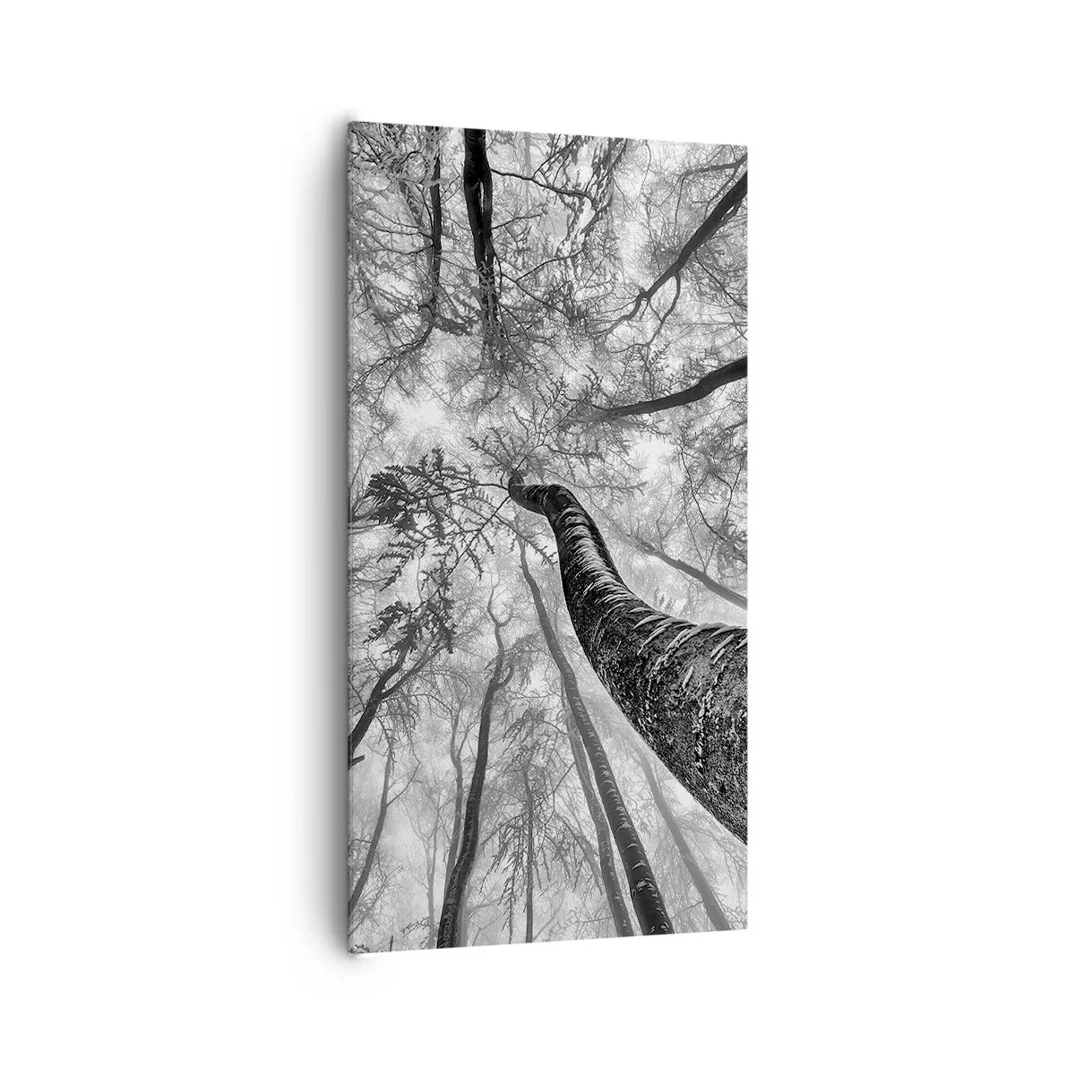 Tablou pe pânză - Cursa spre lumină - 65x120 cm