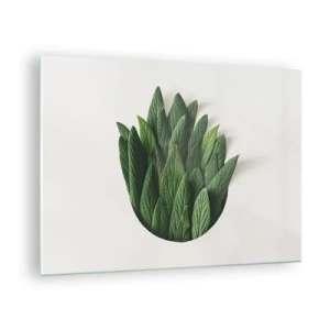 Tablou pe sticlă - Frunze verzi aranjate în formă de vază pe fundal alb - 70x50cm - Curiozitatea nestăvilită - Decorațiune modernă pentru perete pentru living și dormitor ARTTOR