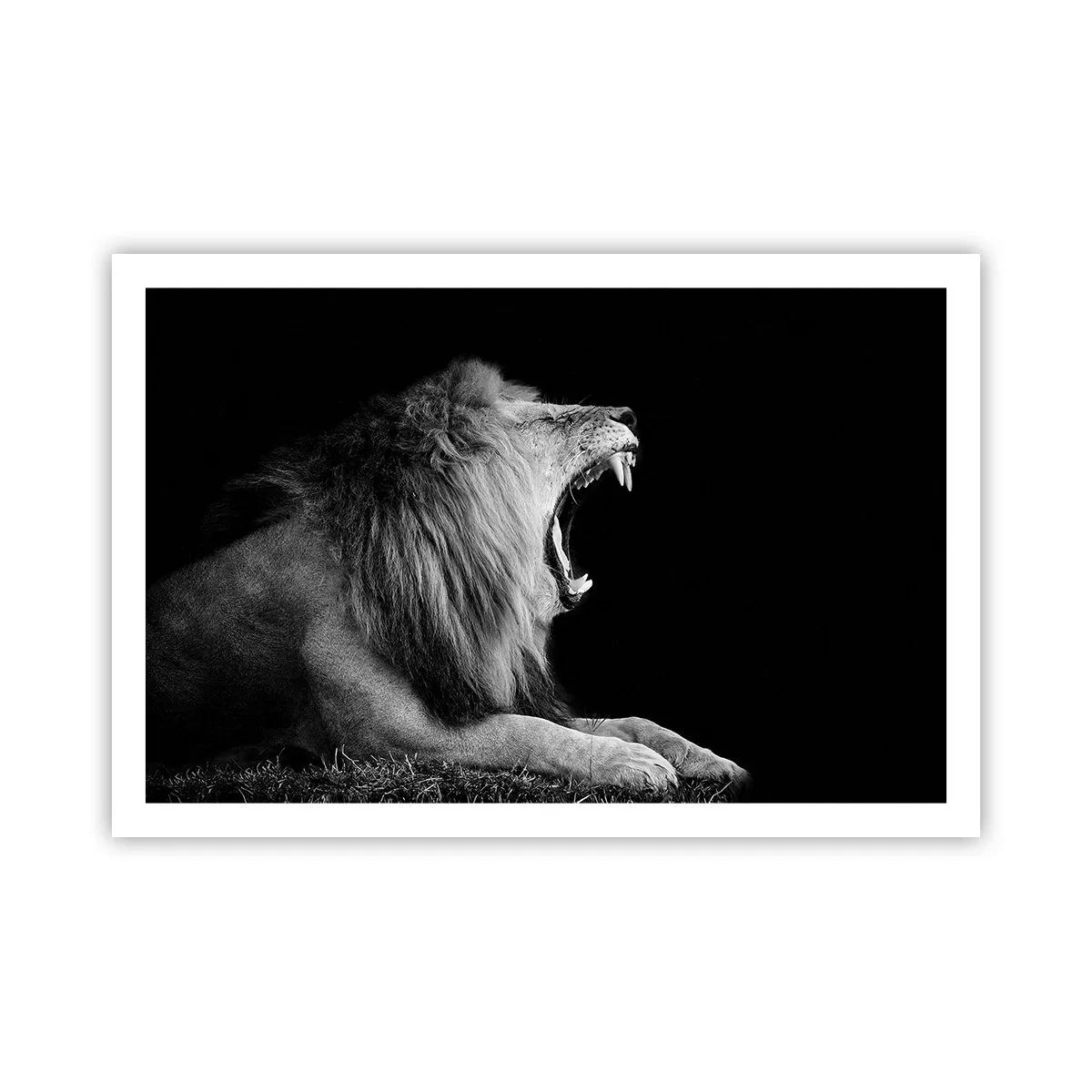 Poster - Fără nici o ezitare - 91x61 cm