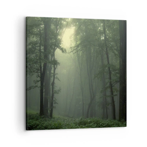 Tablou pe pânză - Înainte să se trezească - 60x60 cm