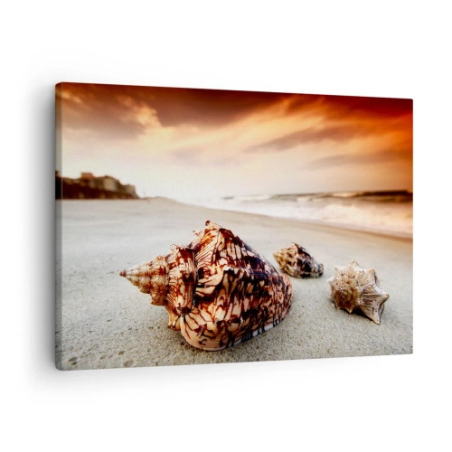 Tablou pe pânză Canvas - Scoici pe plajă la apus - 70x50cm - Exilate de valuri - Decorațiune modernă pentru perete pentru living și dormitor ARTTOR