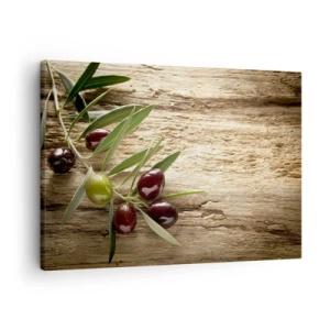 Tablou pe pânză Canvas - ramură de măslin cu fructe pe un fundal de lemn învechit - 70x50cm - Direct din natură - Decorațiune modernă pentru perete pentru living și dormitor ARTTOR