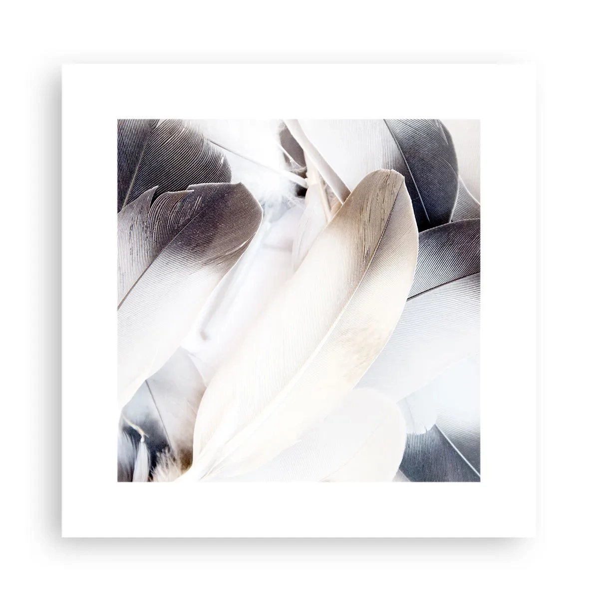 Poster - Aproape angelice - 30x30 cm