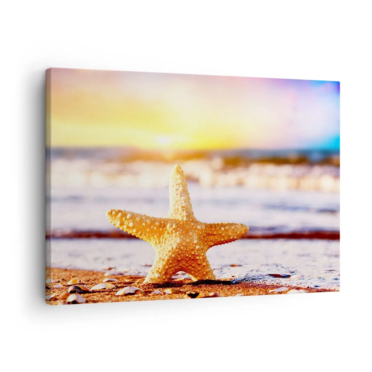Tablou pe pânză Canvas - O stea de mare pe o plajă nisipoasă în strălucirea soarelui care apune - 70x50cm - Cadou maritim - Decorațiune modernă pentru perete pentru living și dormitor ARTTOR