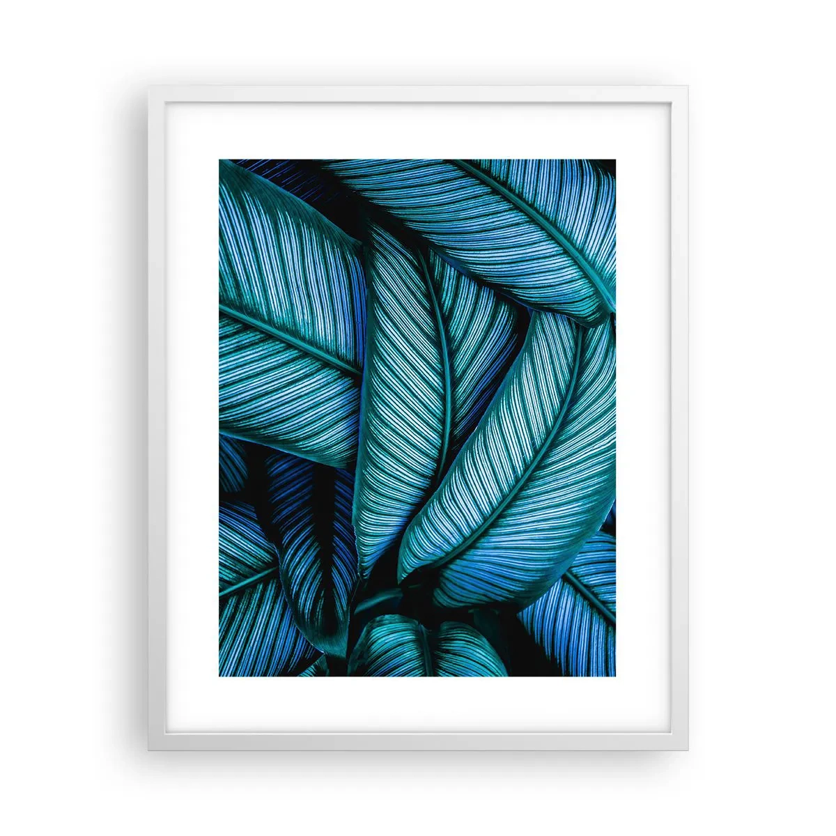 Poster în ramă albă - Linii de viață - 40x50 cm