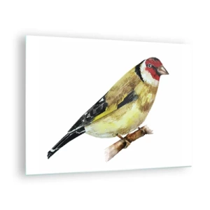 Tablou pe sticlă - Pasăre în acuarelă pe o ramură în culori delicate - 70x50cm - Portret de pasăre - Decorațiune modernă pentru perete pentru living și dormitor ARTTOR