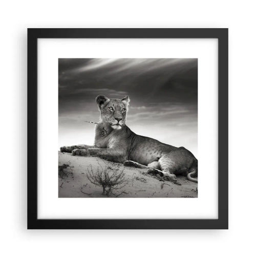 Poster în ramă neagră - Odihna reginei deșertului - 30x30 cm