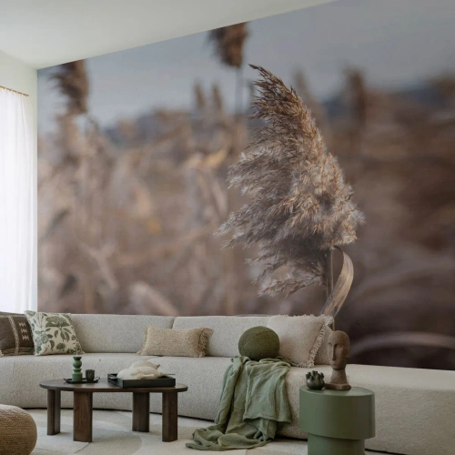 Tapet Premium Canvas - E timpul să zbori cu vântul - luncă, Iarbă de pampas, Natură - 250x175 cm