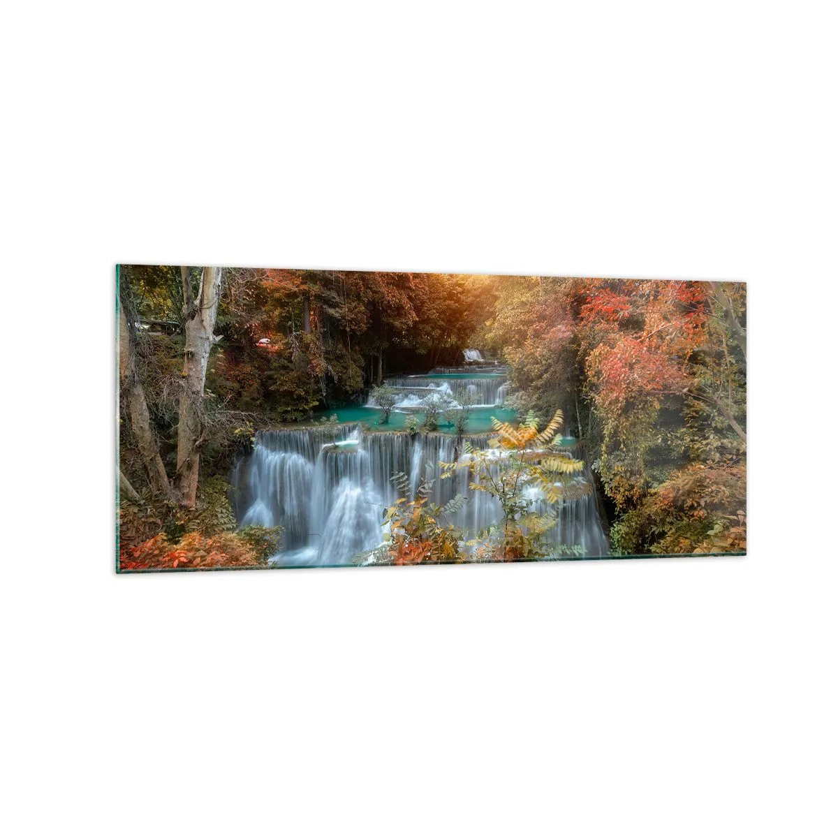 Tablou pe sticlă - Comoara ascunsă a pădurii - 120x50 cm