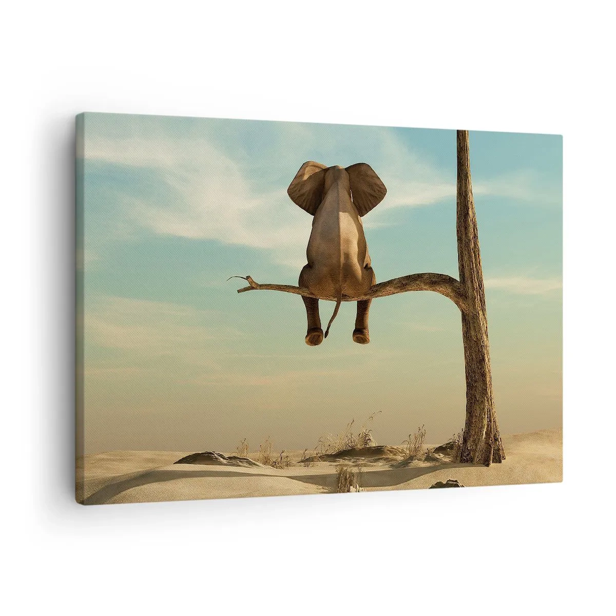 Tablou pe pânză Canvas - Un elefant așezat pe o creangă, cu vedere la un peisaj deșertic - 70x50cm - Un nou punct de vedere - Decorațiune modernă pentru perete pentru living și dormitor ARTTOR