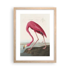 Poster în ramă de stejar deschis - O creatură uimitoare - 30x40 cm